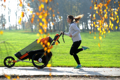 The xRover - Making Inclusion and Access a Reality