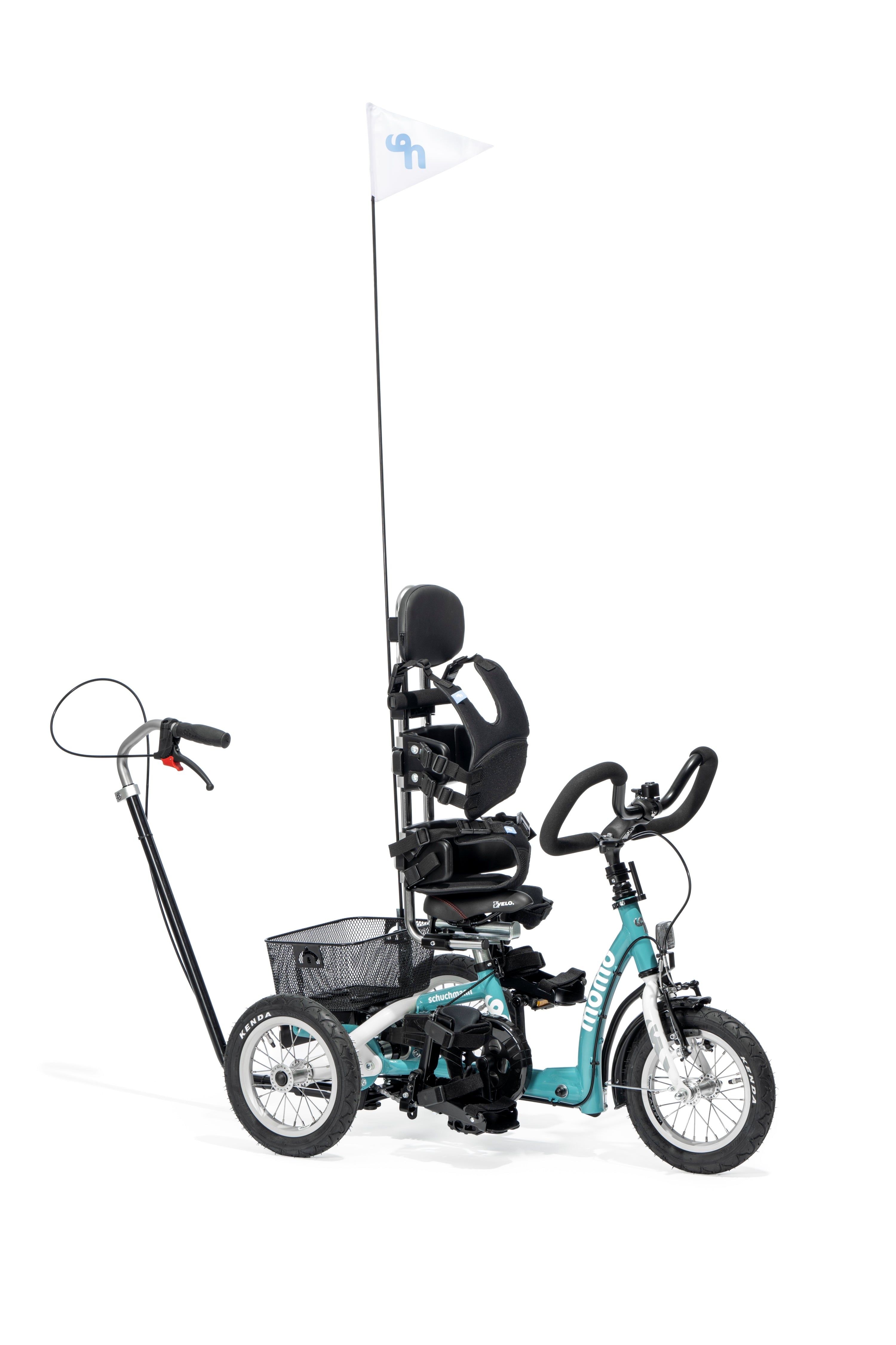 Momo Tricycle