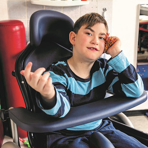 Boris Shower & Toilet Chair