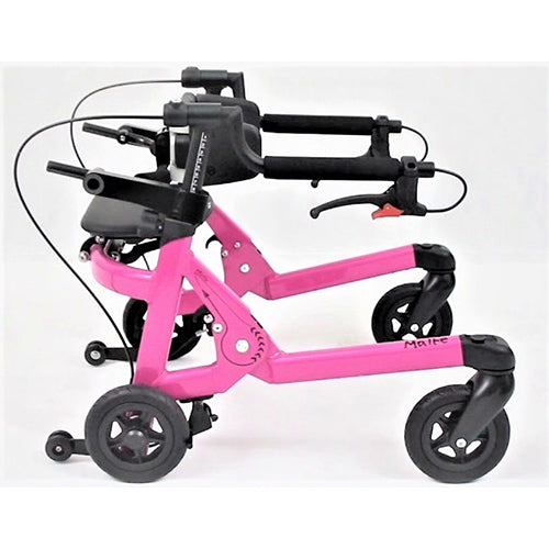 Malte Posterior Walkers