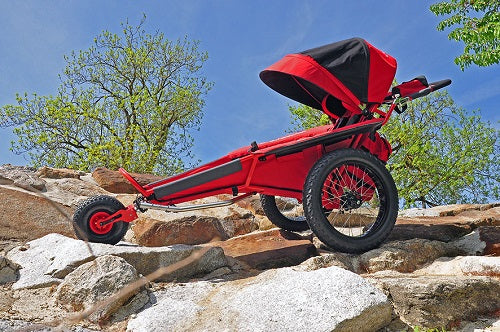 xRover Multi-Functional Outdoor Stroller - Apex Mobility – APEX Mobility